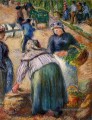 marché de la pomme de terre boulevard des fosses pontoise 1882 Camille Pissarro